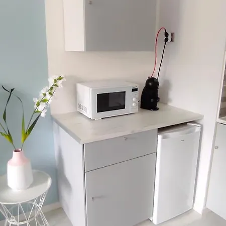 26m2 Centre Renove Avec Parking Prive Appartement