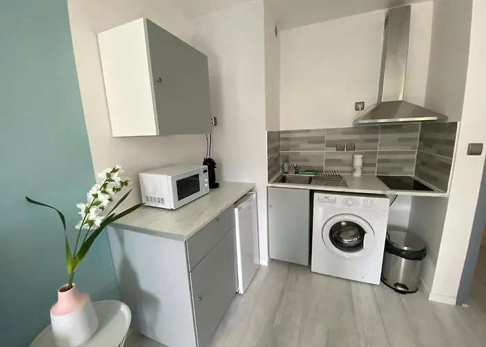 26m2 Centre Renove Avec Parking Prive Апартаменты