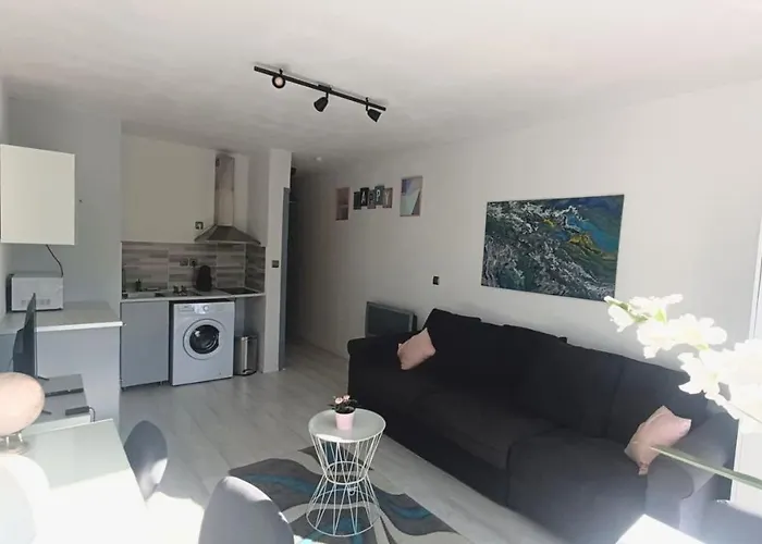26m2 Centre Renove Avec Parking Prive * Ла-Гранд-Мот